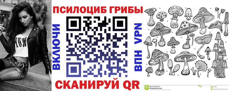 Галлюциногенные грибы Psilocybe  Юрьев-Польский 